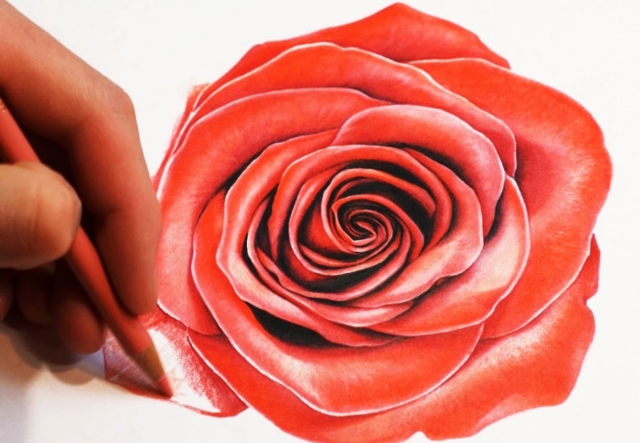 apprendre à dessiner une fleur en couleurs, technique dessin au crayon, modèle de rose ouverte de couleur rouge