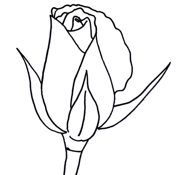 modèle de dessin de fleur facile à réaliser au crayon, exemple de dessin de rose semi-ouverte, comment dessiner une rose facile