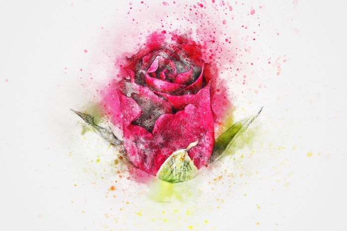 joli dessin de rose fermée de couleur rose fuchsia avec feuilles vertes, exemple comment dessiner une rose en couleurs