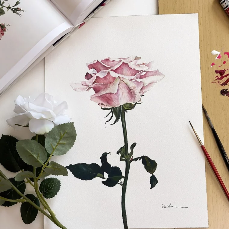 dessin realiste en aquarelle rose petales blanc rose tige