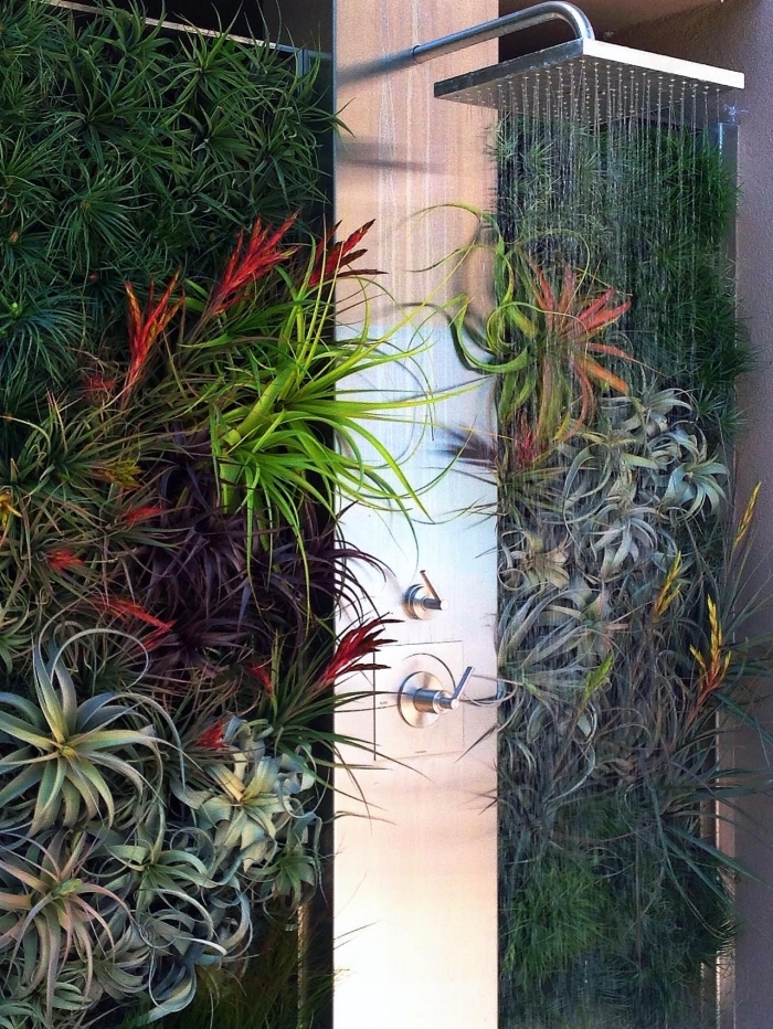 une douche extérieur avec mur végétalisé composé de plantes sans racines variées qui constitue un véritable coin de fraîcheur dans le jardin