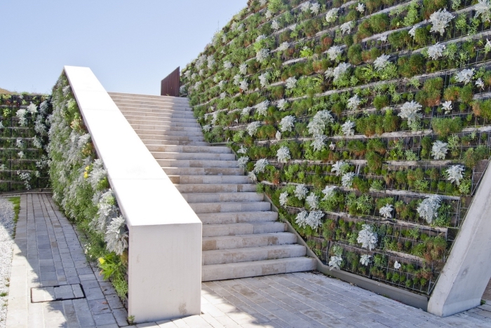 idée pour l'emplacement original d'un jardin vertical, une déco d'escalier de jardin avec cultures verticales 