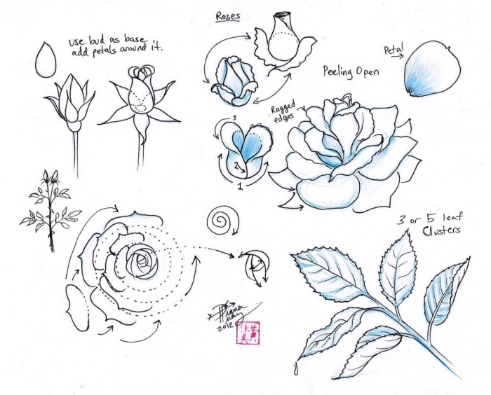 techniques pour apprendre à dessiner facilement une fleur, modèle dessin de rose fermée ou ouverte au crayon blanc et noir