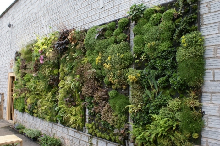 comment masquer et embellir un mur disgracieux, un tableau vegetal luxuriant à effet décoratif