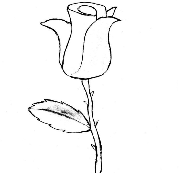 modèle de rose semi-ouverte en blanc et noir, dessin de fleur facile à reproduire, exemple dessin de rose avec feuilles et épines