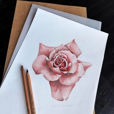 idee dessin rose realiste en aquarelle jeu ombres lumieres