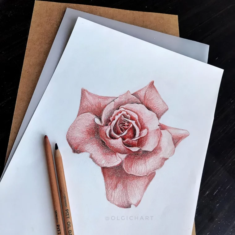 idee dessin rose realiste en aquarelle jeu ombres lumieres