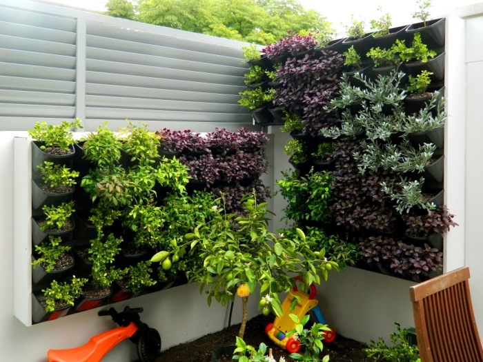 un mur végétalisé sur mesure avec modules en plastique et un système d'arrosage automatique pour maintenir un jardin verical extérieur toute l'année