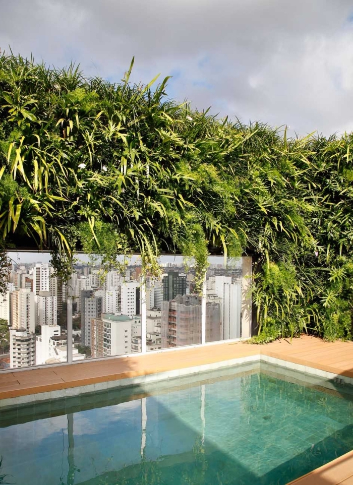 un couloir de nage moderne aménagée sur un toit-terrasse d'une conception moderne avec brise vue vegetal 