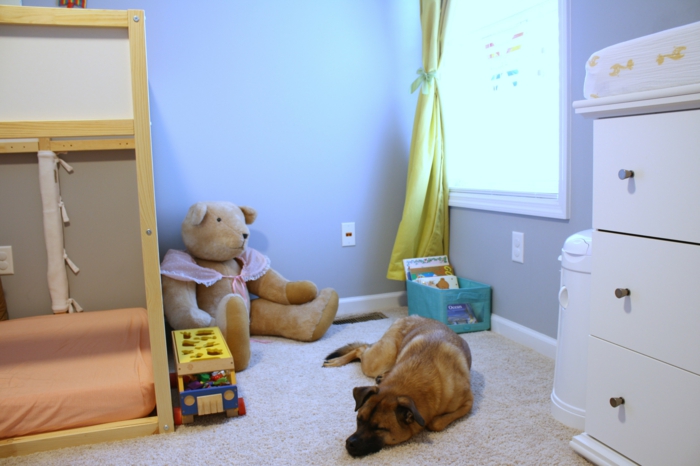 cabane lit, lit bébé sans barreau, coin de rangement avec un meuble blanc, moquette beige, fenêtre au cadre blanc, animal de compagnie chien