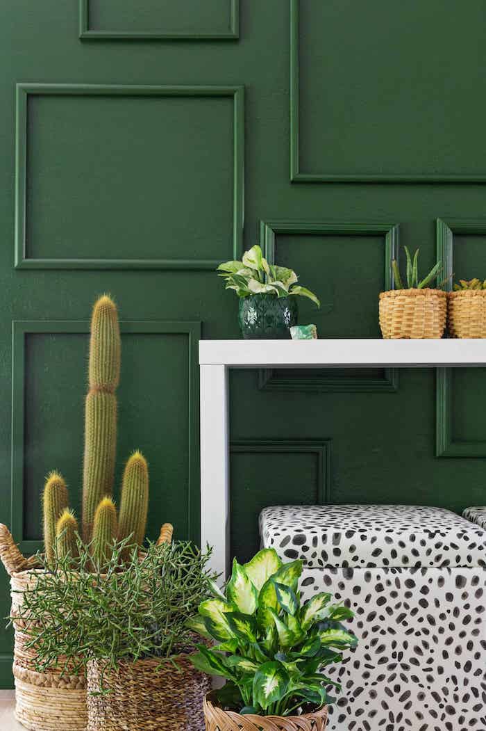 Salon cosy amenager petit salon decoration salon contemporain mur vert plantes originale idee design