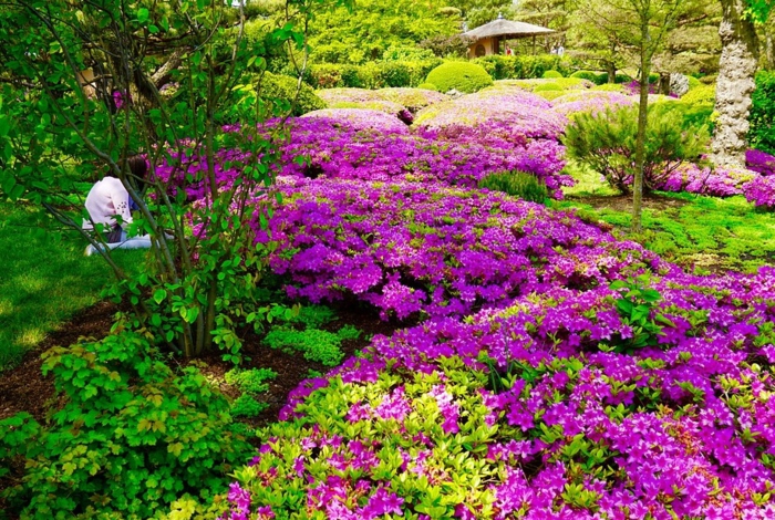 jardin style japonais fleuri lilas, tapis végétal dans le jardin, jardin paysager