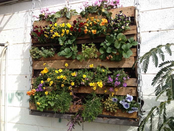 idée originale pour un mur vegetal en palette suspendu avec chaîne, composé d'une variété de fleurs, pour dynamiser les murs du balcon ou du jardin