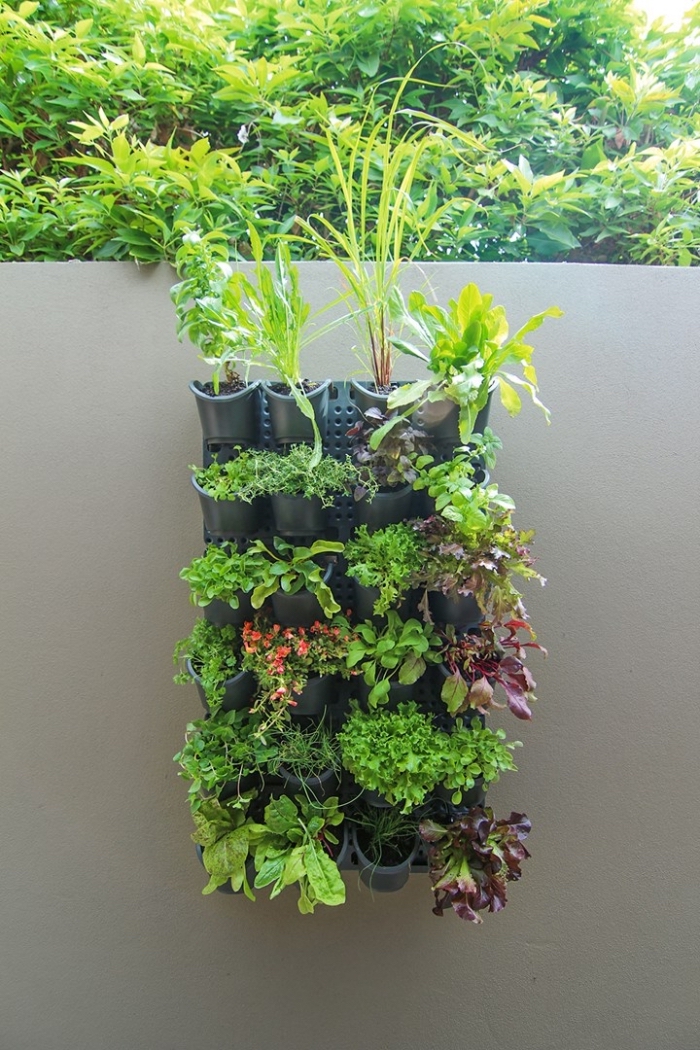 système de mur végétal extérieur composé d'un panneau en pvc et des modules