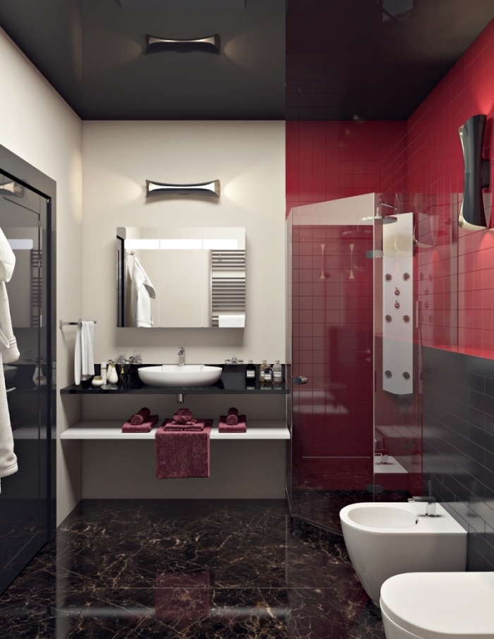 aménager une petite salle de bain à design contemporain avec plafond et plancher en noir et pan de mur en carrelage rouge
