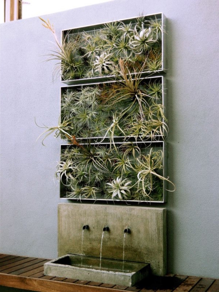 tableau vegetal original avec cascade en béton réalisé avec trois cadre végétaux de plantes sans racines