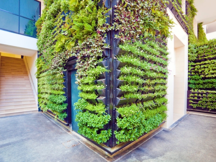 une façade végétalisée d'une maison moderne avec des murs végétaux modulaires sur mesure qui constitue un coin de verdure inattendu