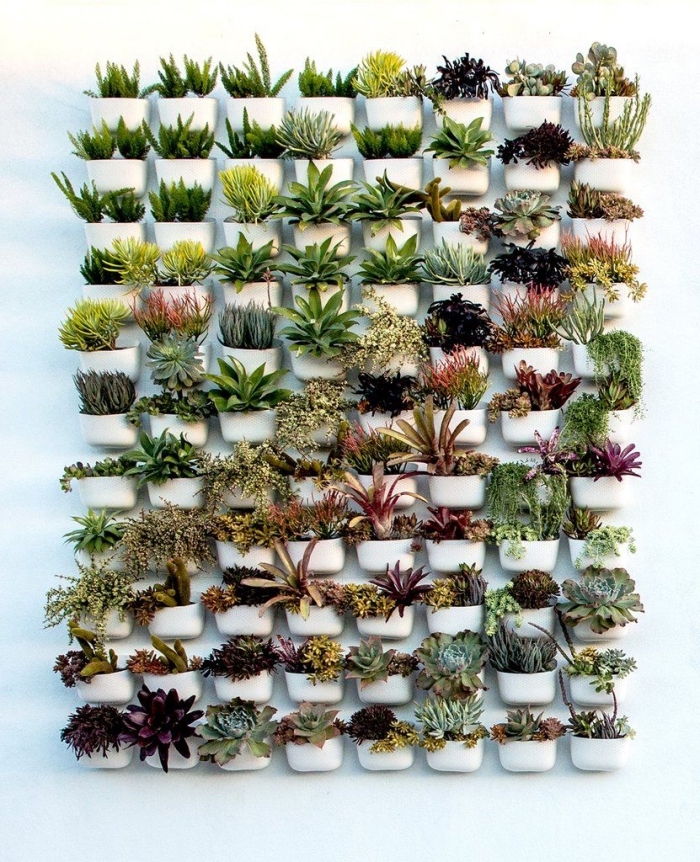 une multitude de pots plastique avec des plantes variées pour composer un mur végétalisé original et harmonieux pour l'extérieur ou l'intérieur