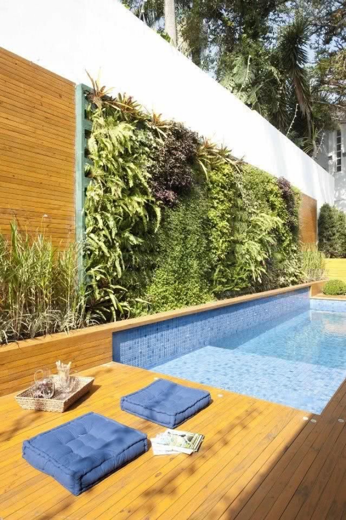 système de mur végétal d'extérieur aménagé tout au long de la piscine façon cloture vegetale qui créer un bel contraste avec la terrasse en bois et l'eau