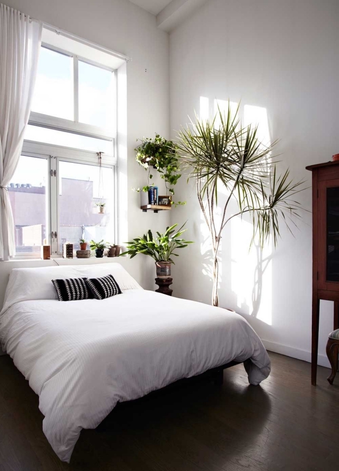 décoration minimaliste dans une petite chambre bohème aux murs blancs avec parquet foncé et plusieurs plantes vertes