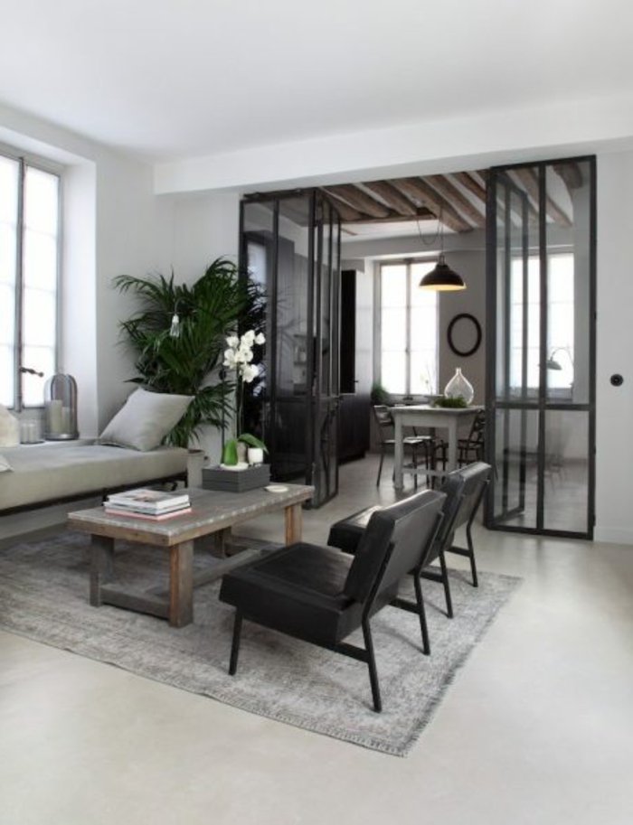 jolie separation cuisine salon, verrière à portes battantes, chaises noires, tapis gris, intérieur minimaliste