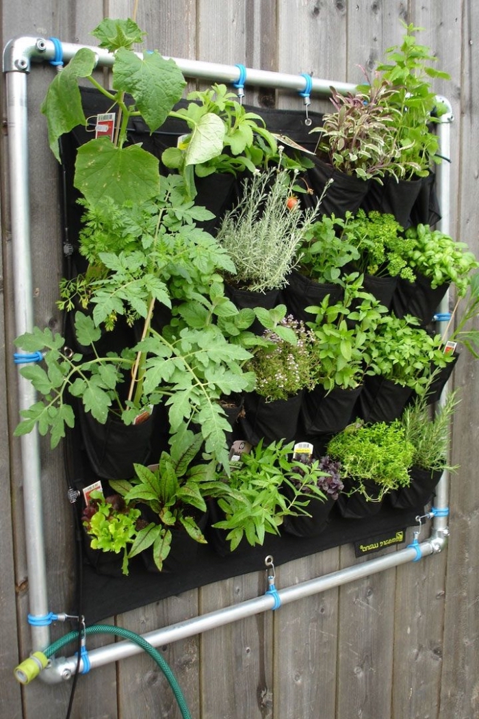 comment réaliser un mur végétal extérieur avec sac poche de plantation et un système d'irrigation adapté