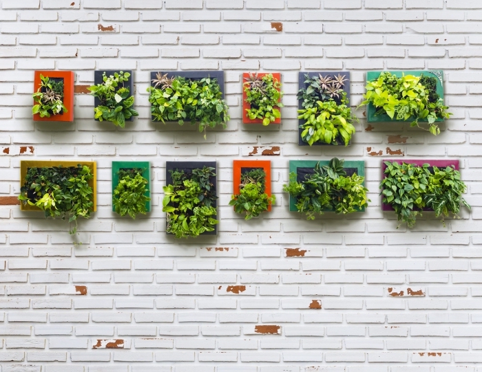 idée originale pour réaliser un jardin vertical miniature pour l'extérieur ou l'intérieur, tableau vegetal de couleur en joli contraste avec le mur en briques blanches