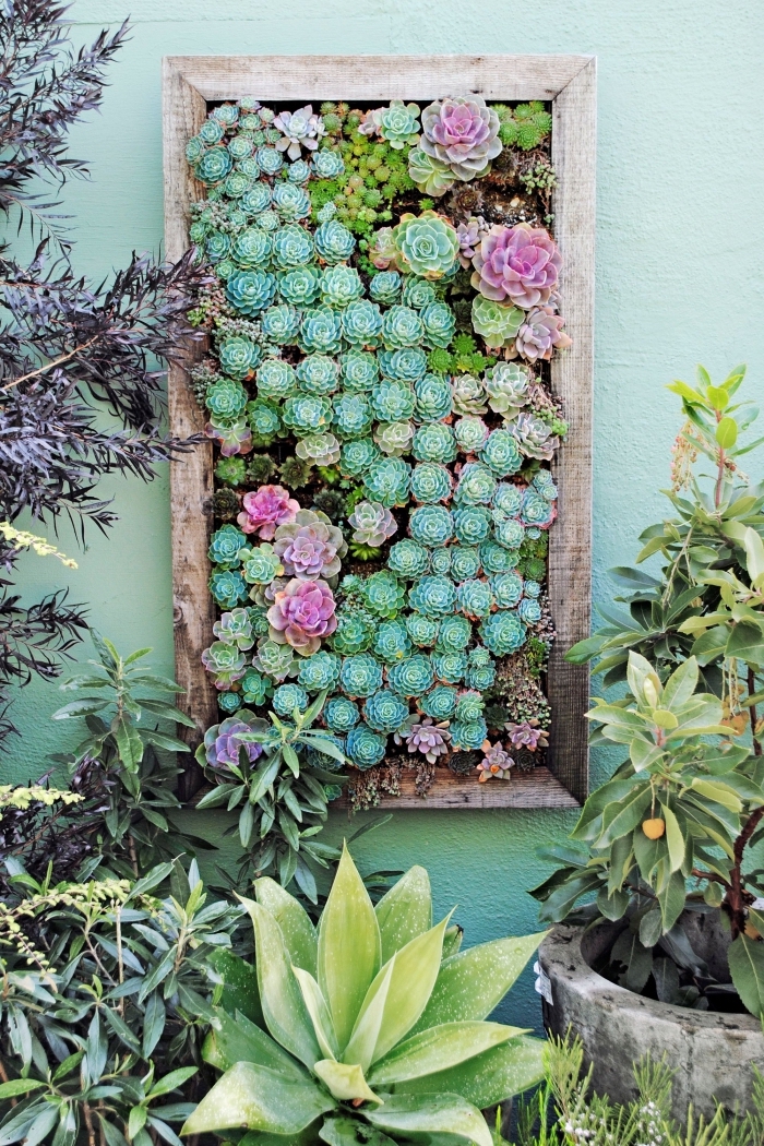 un tableau végétal réalisé avec des plantes succulents variées, fixé au mur du jardin ou de la terrasse pour y créer un joli oasis de verdure 