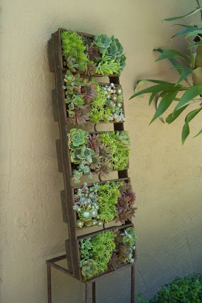 comment réaliser un tableau vegetal avec des matériaux récup, un tableau végétal de plantes grasses en structure de bois et métal récup