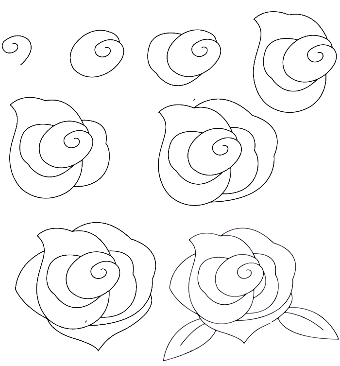 tutoriel pour apprendre comment dessiner facilement une rose ouverte avec feuilles, dessin au crayon blanc et noir