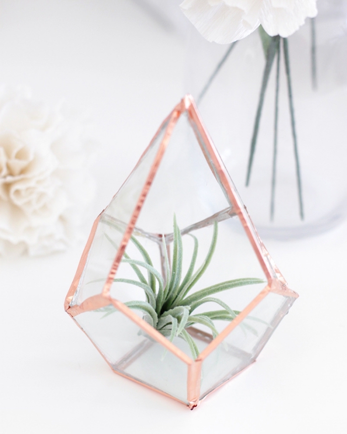 modèle de terrarium facile DIY avec succulents et bords à design rose gold, idée activité manuelle avec plantes vertes