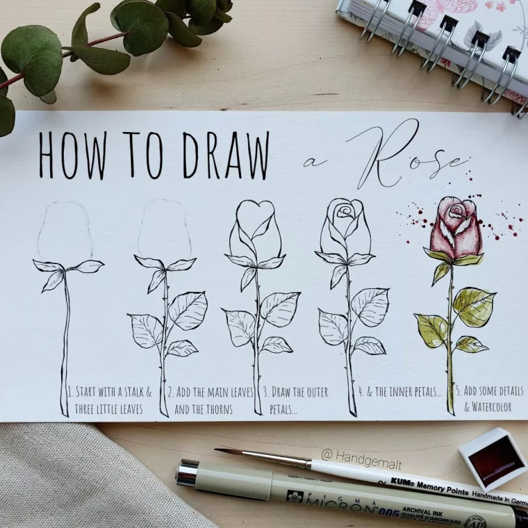 tuto dessin au crayon fleur tige petales realiste aquarelle pinceaux