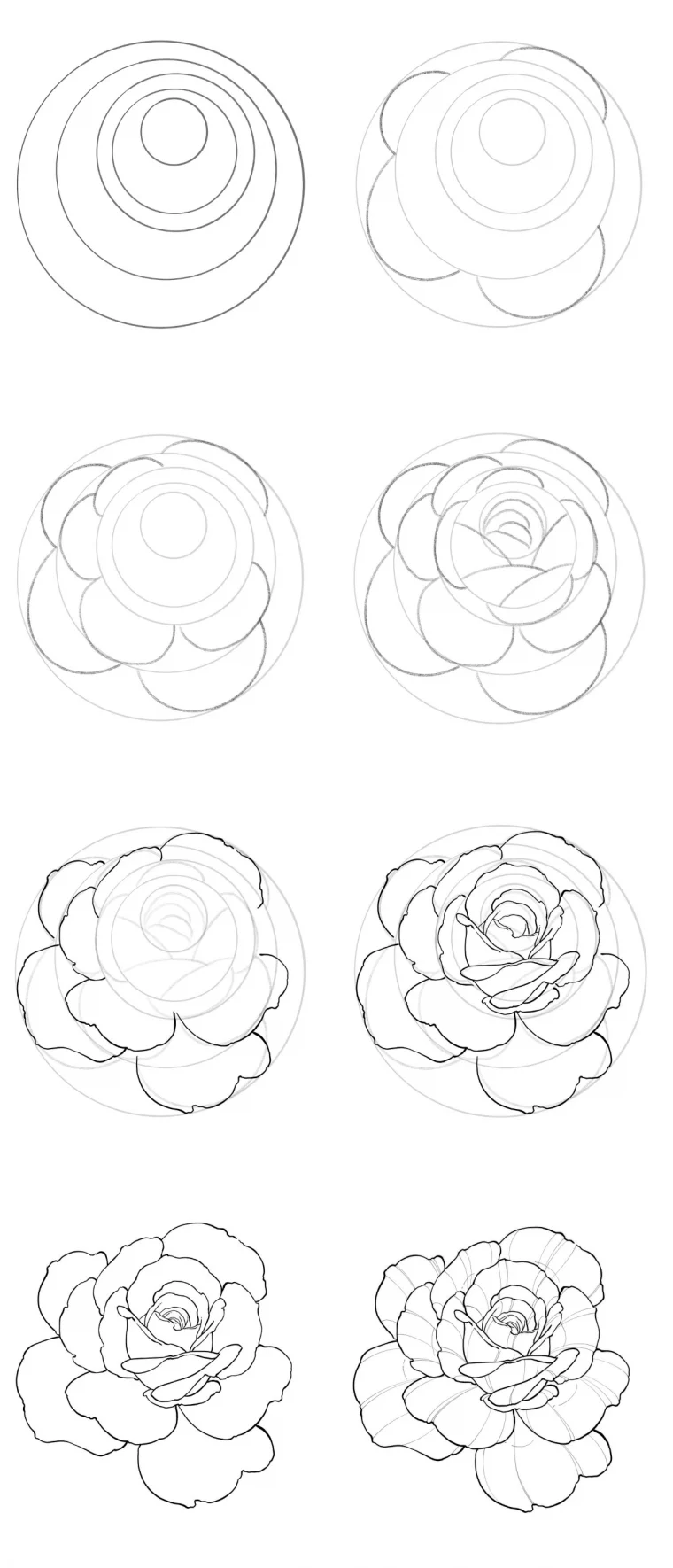 tutoriel dessin facile fleur ouverte rose petales cercles