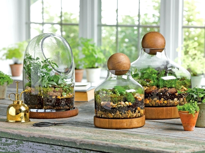 modèles de récipient en verre pour mini jardin avec galets et plantes vertes, idée comment faire un terrarium facile