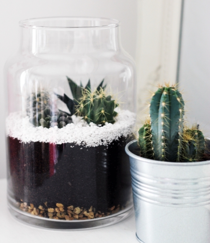 objet décoratif à design végétal dans un bocal transparent rempli de terreau et gravier avec cactus et plantes succulentes