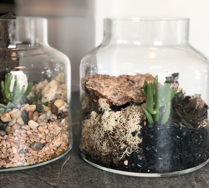 exemple de terrarium plante grasse dans un gros bocal en verre rempli de terreau et galets, idée objet déco avec mini plantes