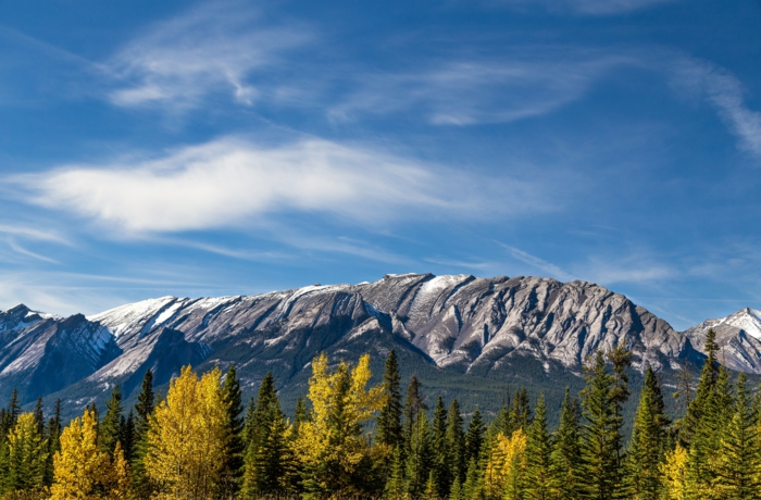 montagne rocheuse, ciel bleu, sapins et arbres au feuillage jaune, paysage d'automne
