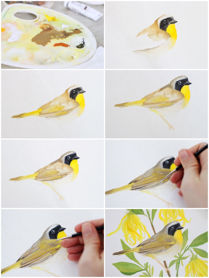 peinture aquarelle naturaliste d'un joli oiseau perché sur une branche, réalisée avec une grande précision