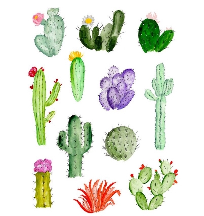 jolie collection de cactus à l'aquarelle en différentes nuances du vert, dessin aquarelle facile pour apprendre à mélanger les couleurs