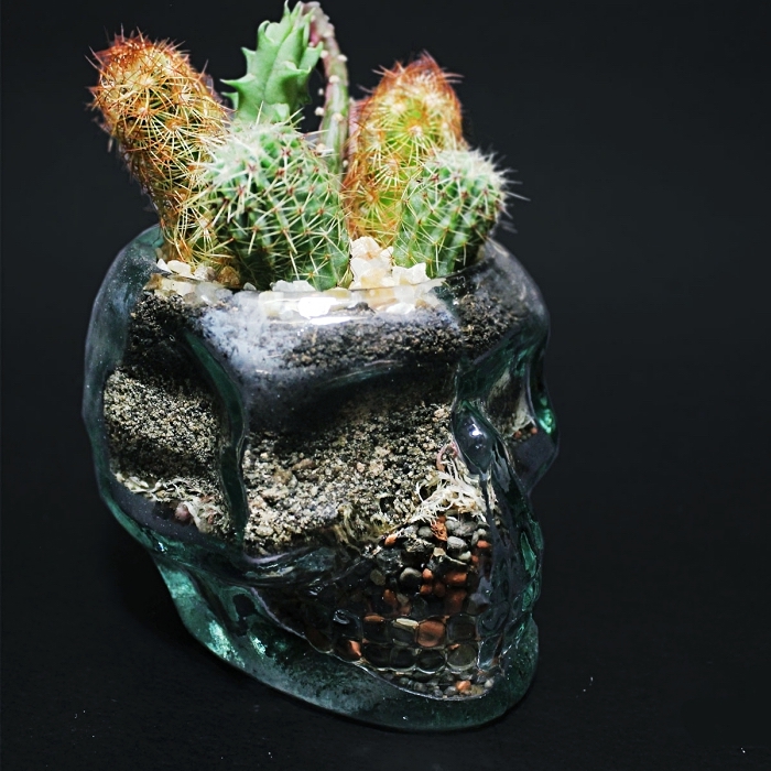 objet de déco DIY avec un contenant en verre à design crâne rempli de galets et de terreau avec plantes succulentes ou cactus