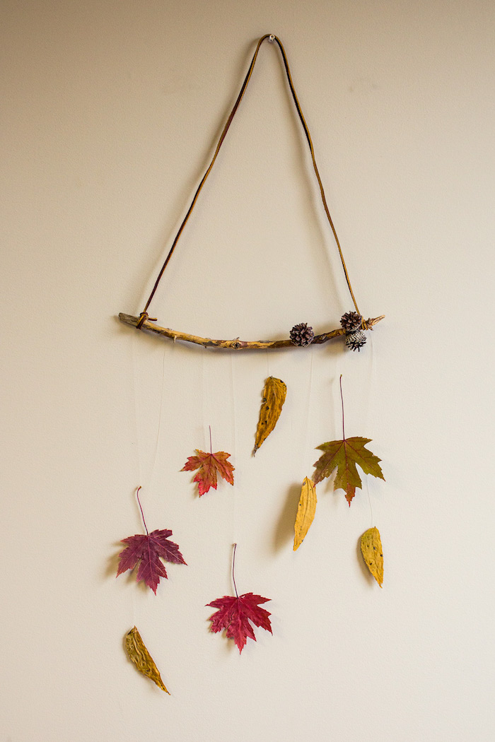 deco bois flotté suspendu au mur avec des feuilles mortes suspendues et deco de pommes de pin