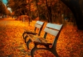 En quête du meilleur paysage d’automne – plus de 100 photos inspirantes