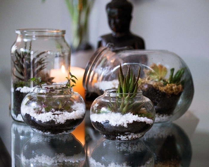 ambiance zen avec objets diy faciles, modèles de terrariums diy dans bocaux en verre ouverts, idées plantes pour mini jardin