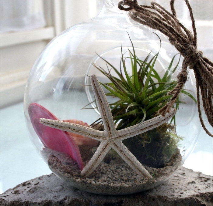 exemple de terrarium bocal avec plantes vertes et sable, modèle de mini jardin de mer dans un aquarium en verre