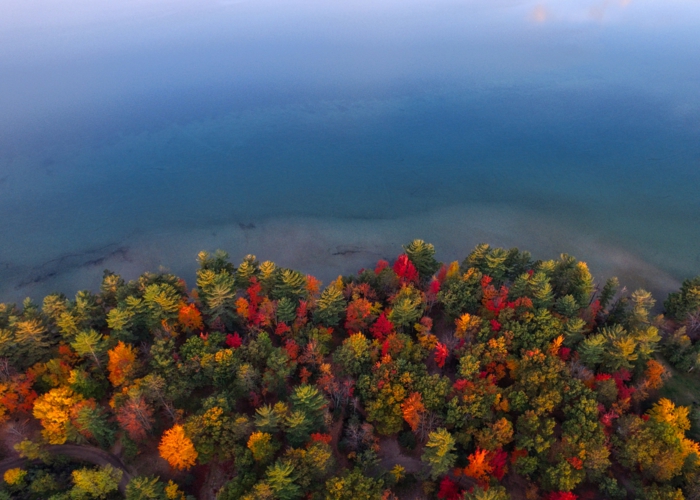 cours d'eau et rive à vue aérienne, arbres au coloris d'automne, forêt bigarrée