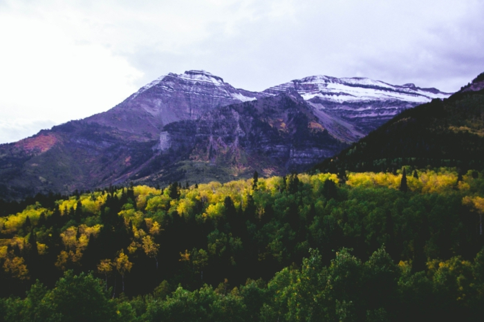 automne dans la montagne, jolie paysage arbres jaunis, montagne enneigée