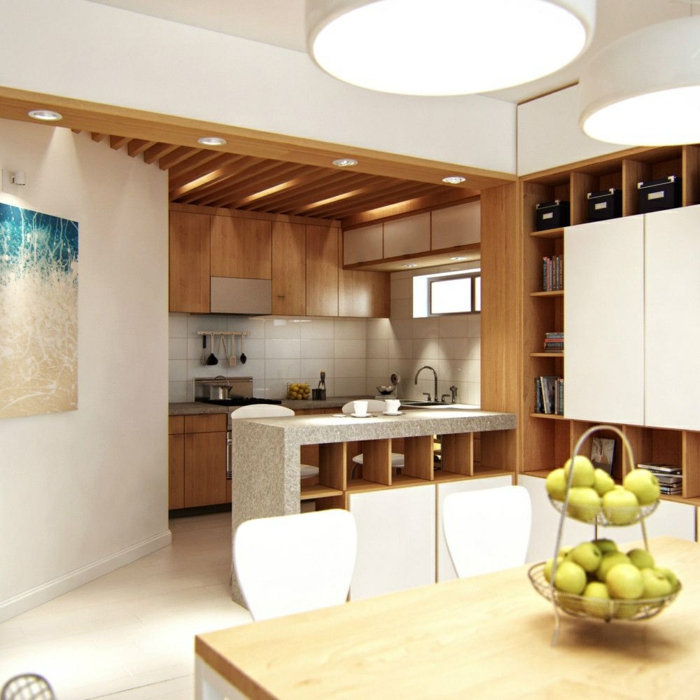 faux plafond suspendu, petite cuisine ouverte, bar de cuisine avec espace rangement, cabinets en bois