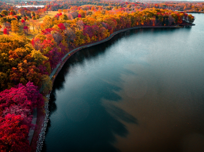 fond d'écran baie et rive aux arbres aux couleurs de l'automne, jolie paysage