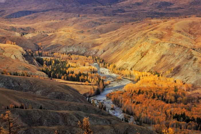 une rivière qui coule au sein de la montagne, fond écran automne, jolie paysage