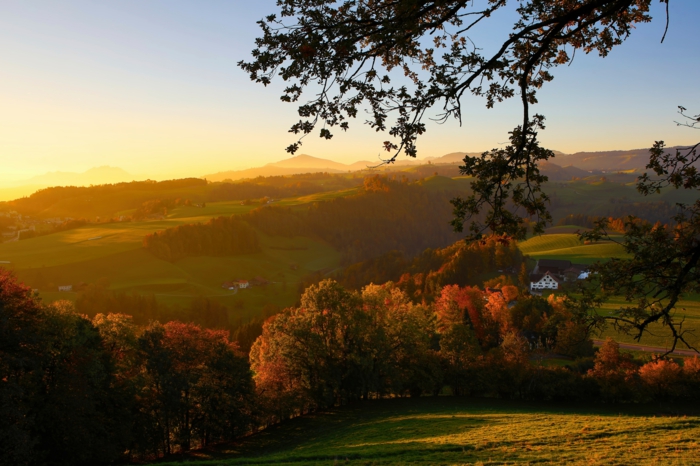 joli paysage pour fond d'écran, plaines vertes, montagnes et arbres vêtus aux couleurs de l'automne